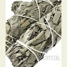 將圖片載入圖庫檢視器 鼠尾草:功效、淨化、禁忌與店主使用心得,一文全搞懂!