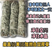 將圖片載入圖庫檢視器 鬼節僻邪聖物白鼠尾草｜白鼠尾草功效｜白鼠尾草拒絕被用原因
