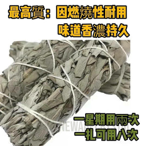 鬼節僻邪聖物白鼠尾草｜白鼠尾草功效｜白鼠尾草拒絕被用原因